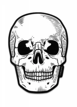 Sourpuss Clothing Anatomical Sticker