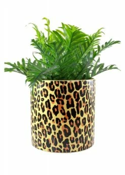 Sourpuss Clothing Leopard Planter